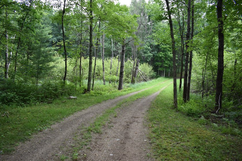 79.5 Acres with a cabin overlooking a small spring fed pond. No - photo 11