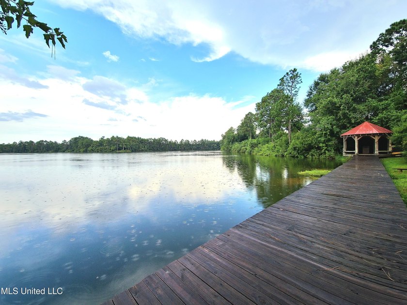 LUXURIOUS 1.4 Acre CLEARED LOT in Prestigious Florence Gardens - photo 13