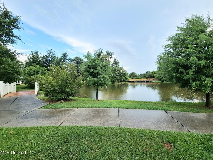 LUXURIOUS 1.4 Acre CLEARED LOT in Prestigious Florence Gardens - photo 16
