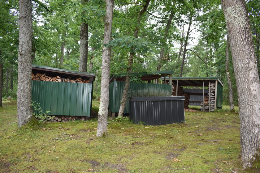 79.5 Acres with a cabin overlooking a small spring fed pond. No - photo 21