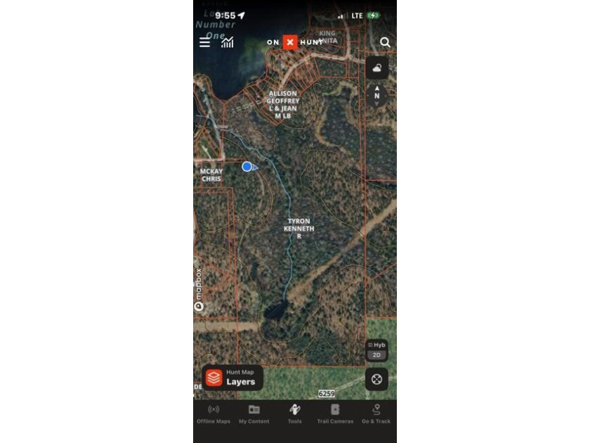 79.5 Acres with a cabin overlooking a small spring fed pond. No - photo 23
