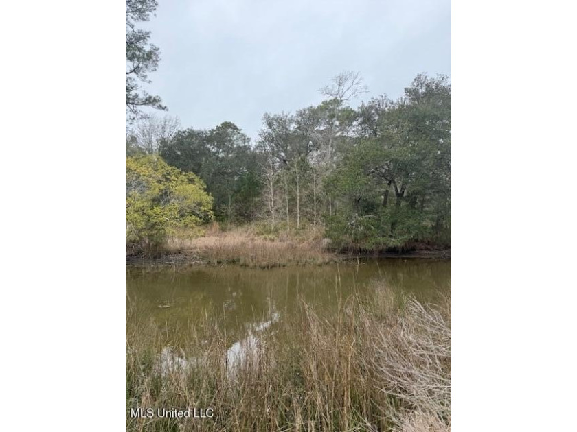 Welcome to an exceptional waterfront opportunity in the heart of - photo 3