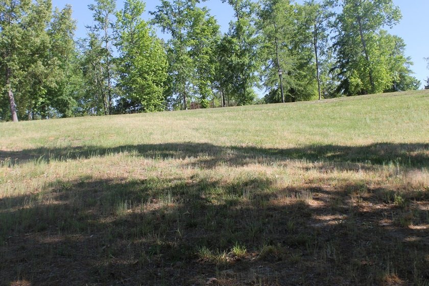 This is a most beautiful and affordable cleared lot in gorgeous - photo 8