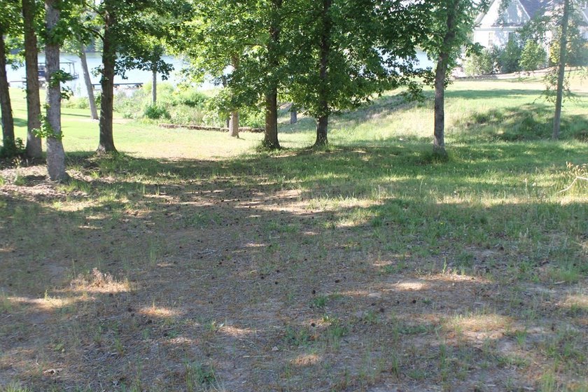 This is a most beautiful and affordable cleared lot in gorgeous - photo 9