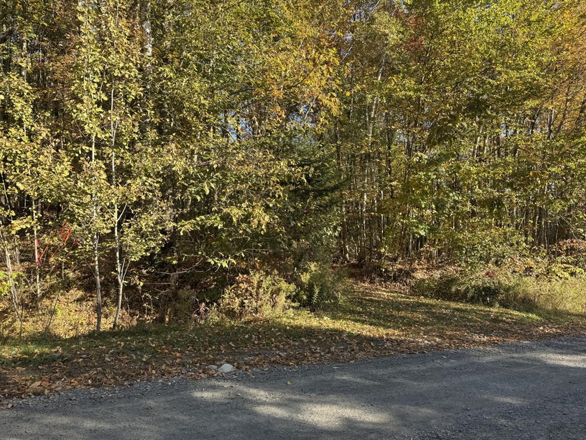 Very peaceful area to build a seasonal or year round home. Power - photo 2