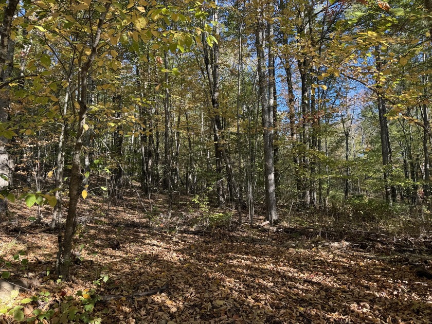 Very peaceful area to build a seasonal or year round home. Power - photo 3