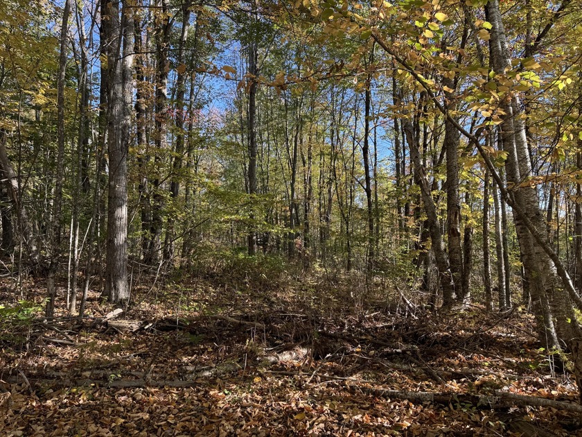 Very peaceful area to build a seasonal or year round home. Power - photo 4