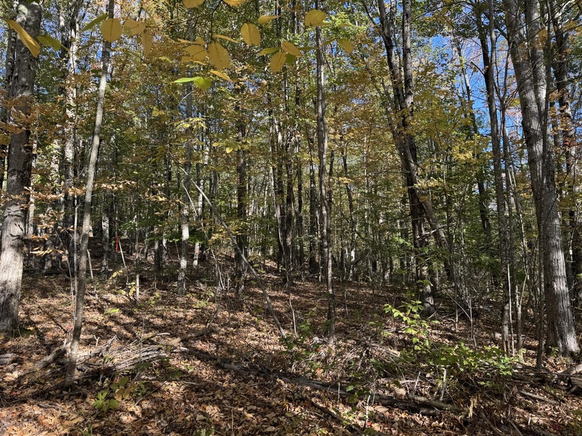 Very peaceful area to build a seasonal or year round home. Power - photo 6