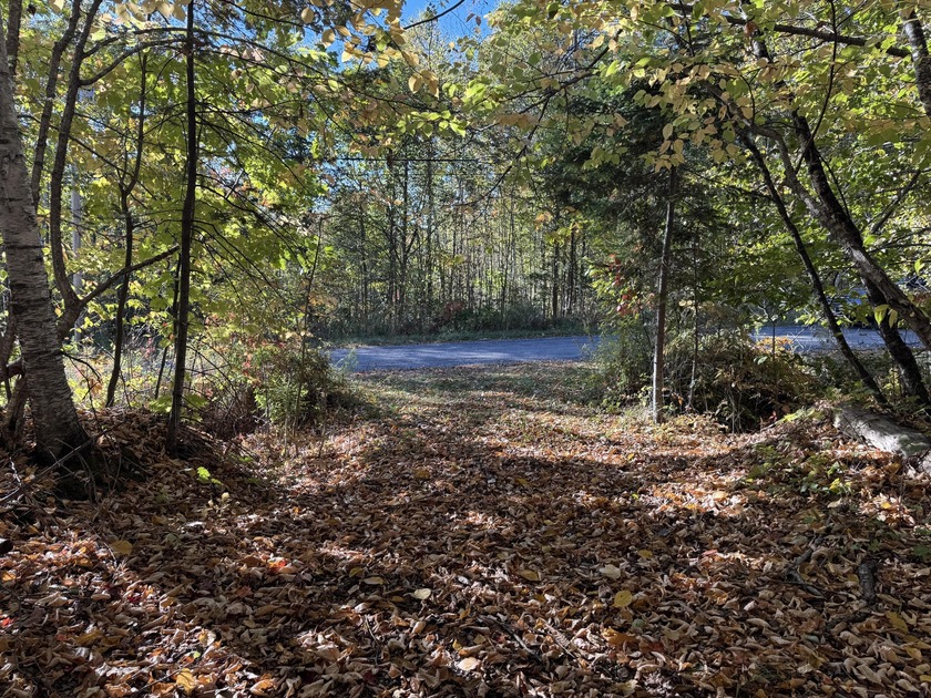 Very peaceful area to build a seasonal or year round home. Power - photo 7