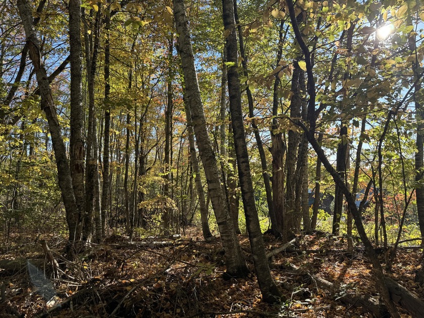 Very peaceful area to build a seasonal or year round home. Power - photo 8