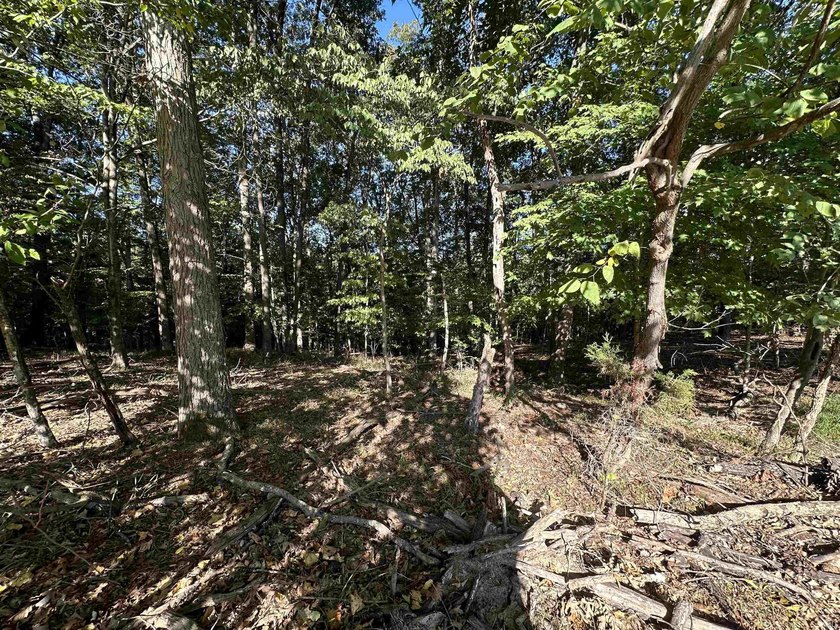Prime lot in the exclusive Land's End (Rush Ridge) community - photo 3