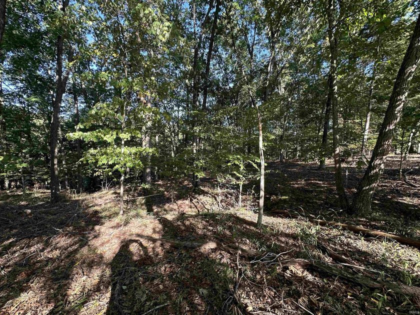 Prime lot in the exclusive Land's End (Rush Ridge) community - photo 4