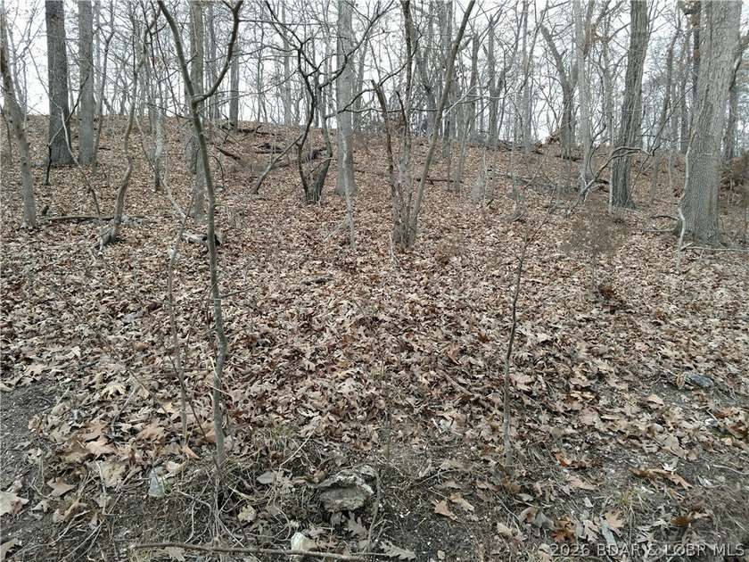 An impossible entry point into the Lake's crown jewel. 137 - photo 18