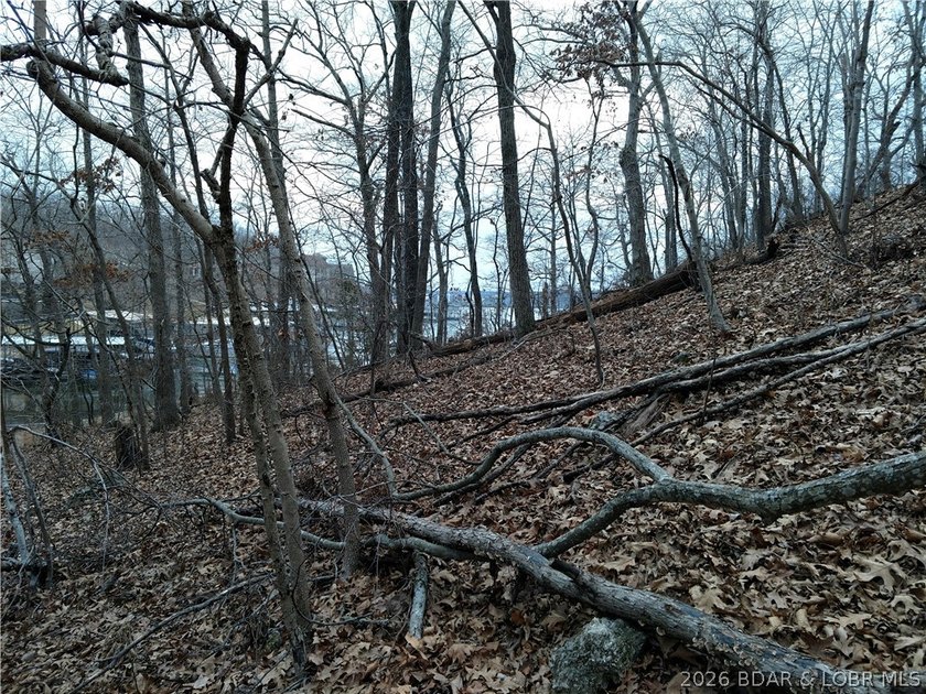 An impossible entry point into the Lake's crown jewel. 137 - photo 23