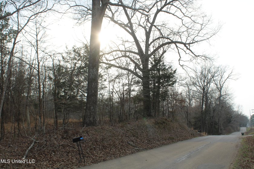 7.82 acres located south of Highway 78 between Red Banks and - photo 2
