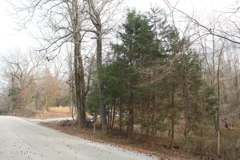 7.82 acres located south of Highway 78 between Red Banks and - photo 3