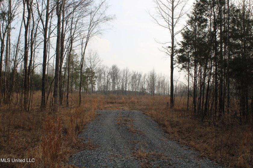 7.82 acres located south of Highway 78 between Red Banks and - photo 6