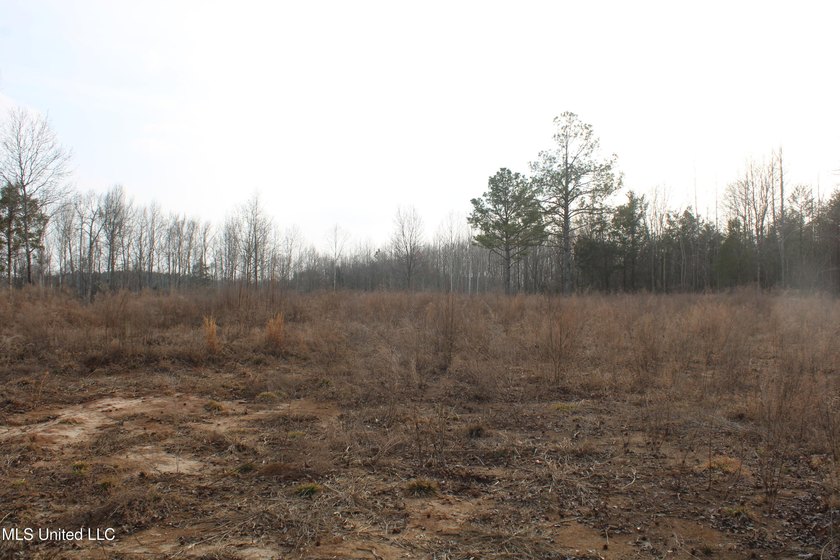 7.82 acres located south of Highway 78 between Red Banks and - photo 7
