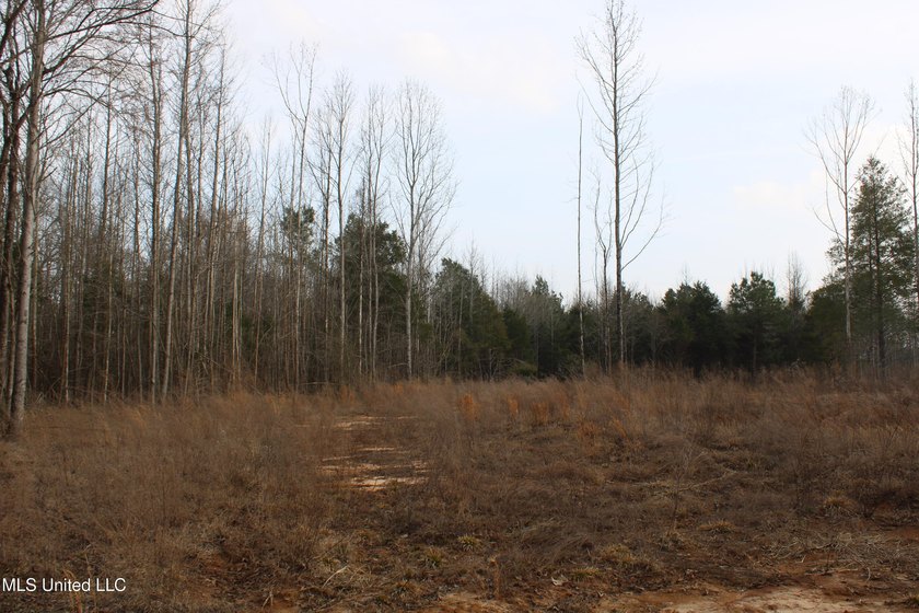 7.82 acres located south of Highway 78 between Red Banks and - photo 8