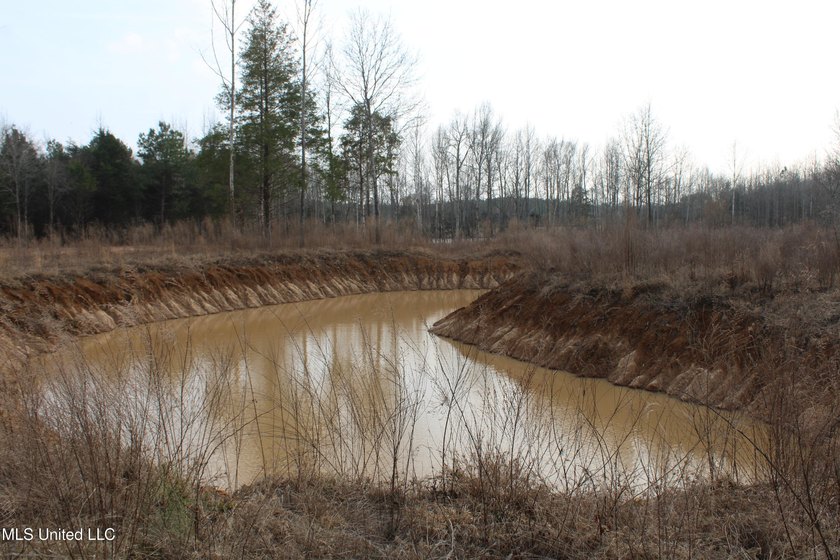 7.82 acres located south of Highway 78 between Red Banks and - photo 9