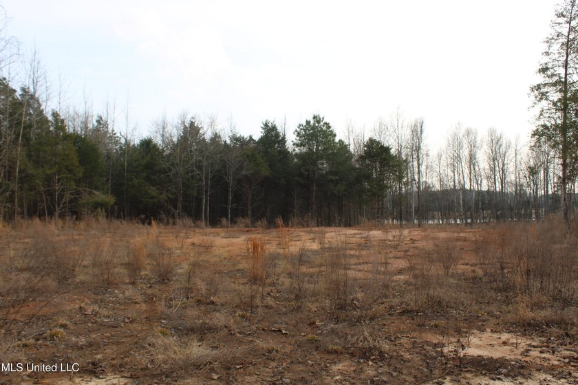 7.82 acres located south of Highway 78 between Red Banks and - photo 10