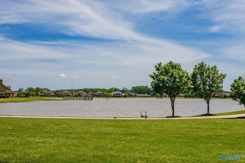 Exceptional move-in ready 4BR/3BA home with freshly painted - photo 36