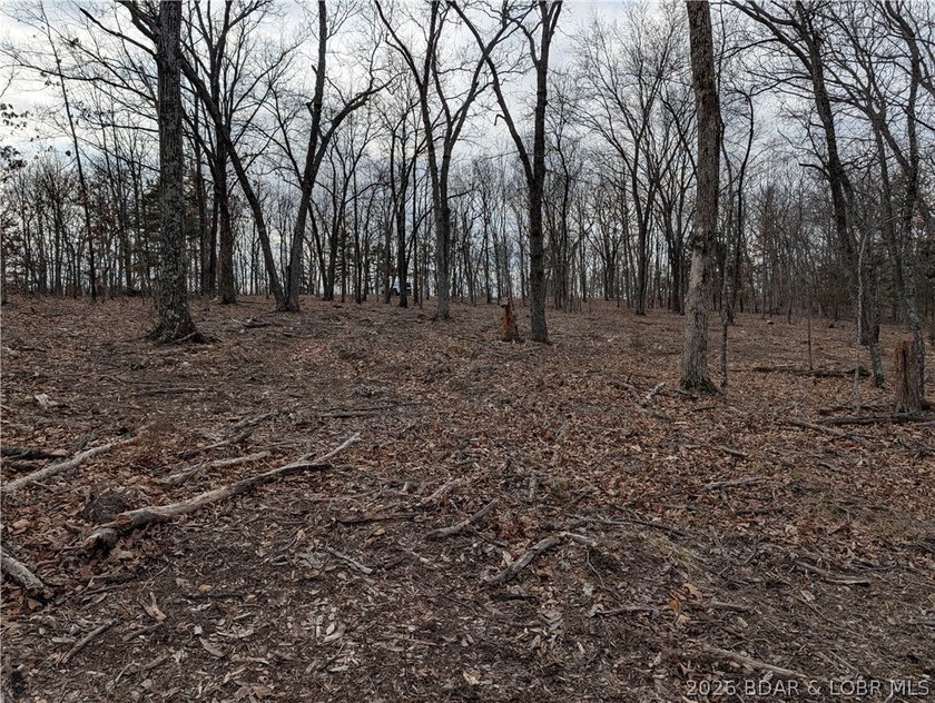 Don't miss this rare opportunity to own a nice, gentle 3 acre - photo 11