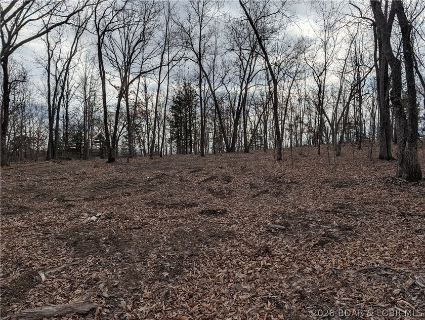 Don't miss this rare opportunity to own a nice, gentle 3 acre - photo 13