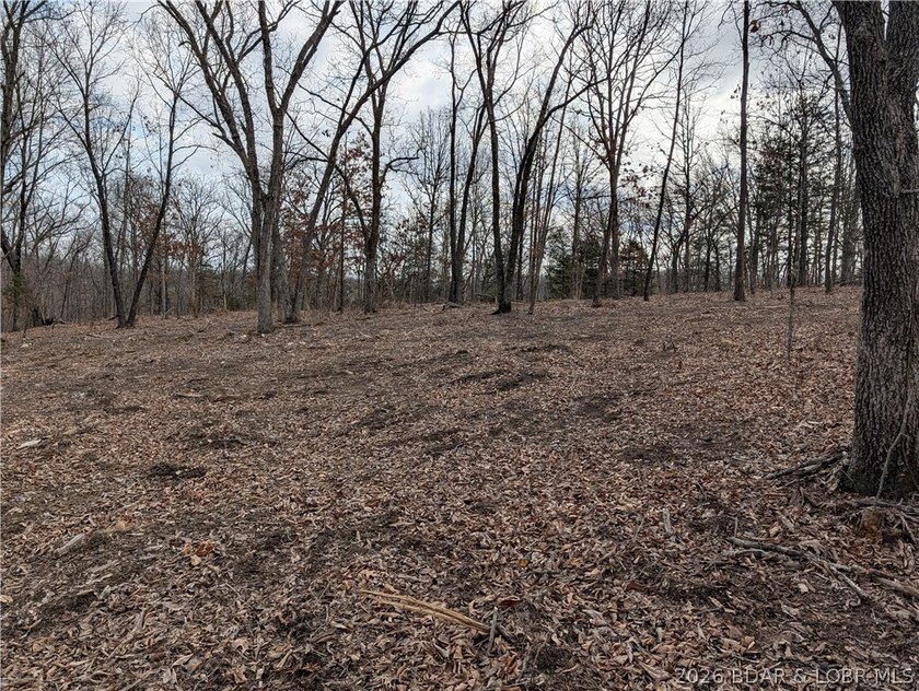 Don't miss this rare opportunity to own a nice, gentle 3 acre - photo 14