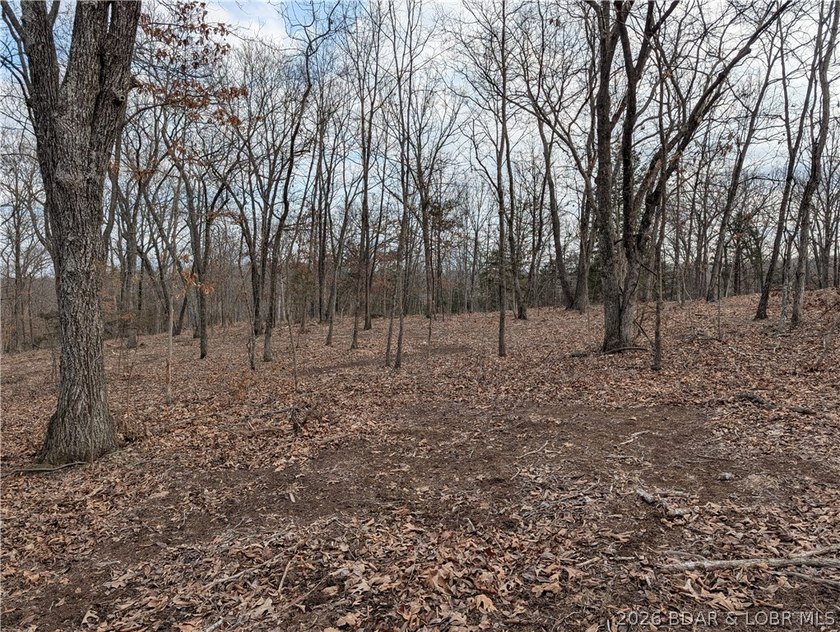 Don't miss this rare opportunity to own a nice, gentle 3 acre - photo 15