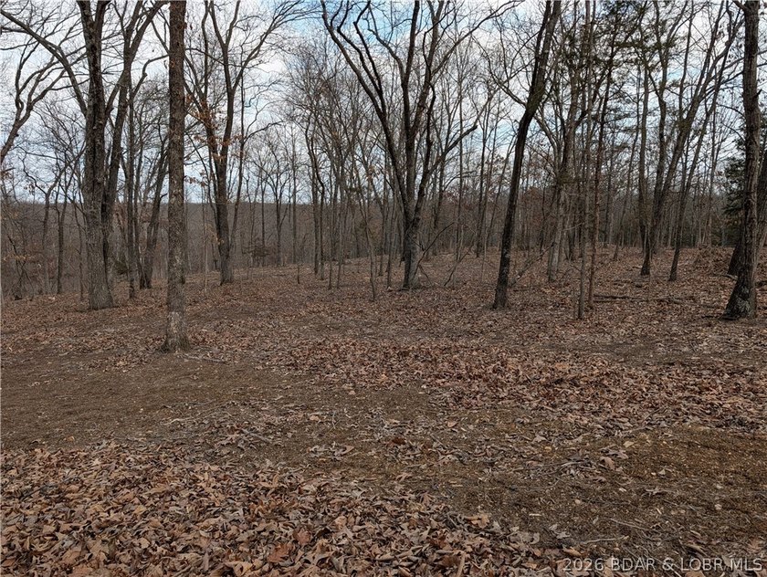 Don't miss this rare opportunity to own a nice, gentle 3 acre - photo 16