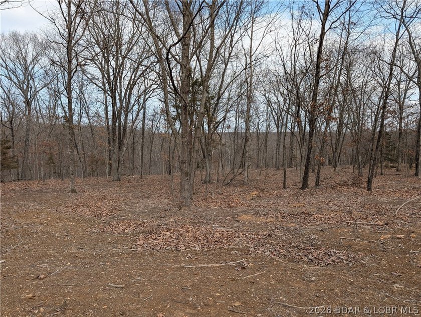 Don't miss this rare opportunity to own a nice, gentle 3 acre - photo 17