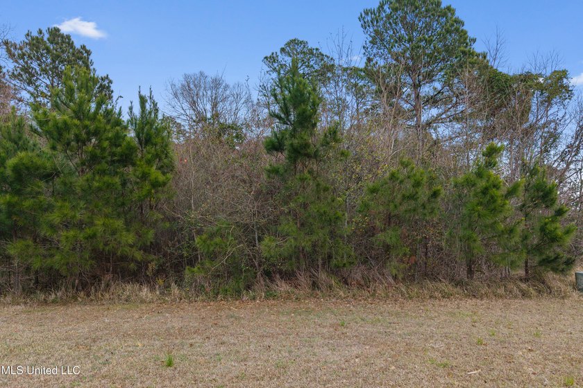 Prime commercial opportunity in the heart of Bay St. Louis! This - photo 3