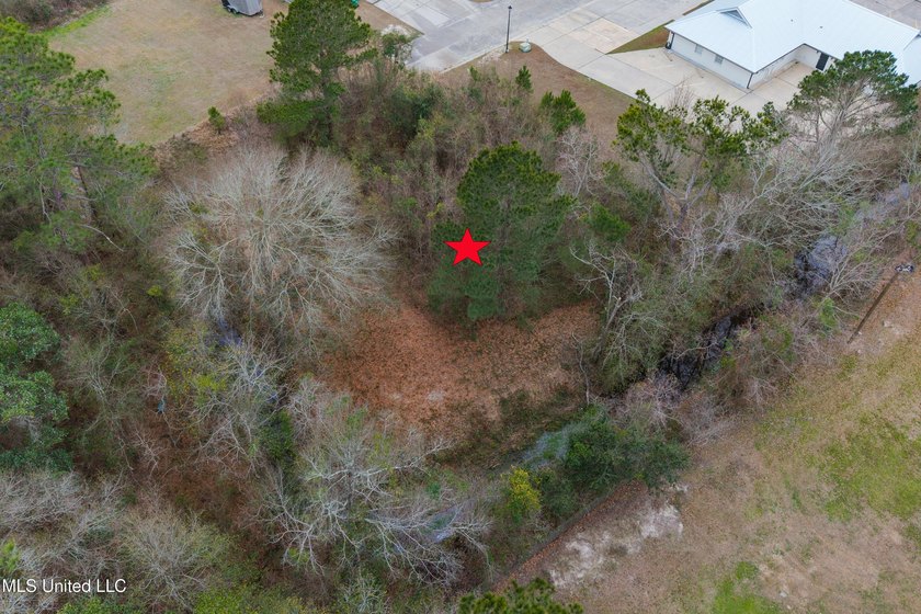 Prime commercial opportunity in the heart of Bay St. Louis! This - photo 9