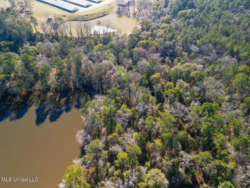 13.4 acres MOL of peaceful countryside featuring frontage on Hwy - photo 2