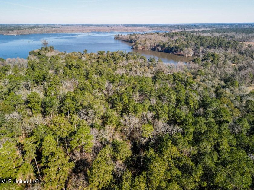 13.4 acres MOL of peaceful countryside featuring frontage on Hwy - photo 5