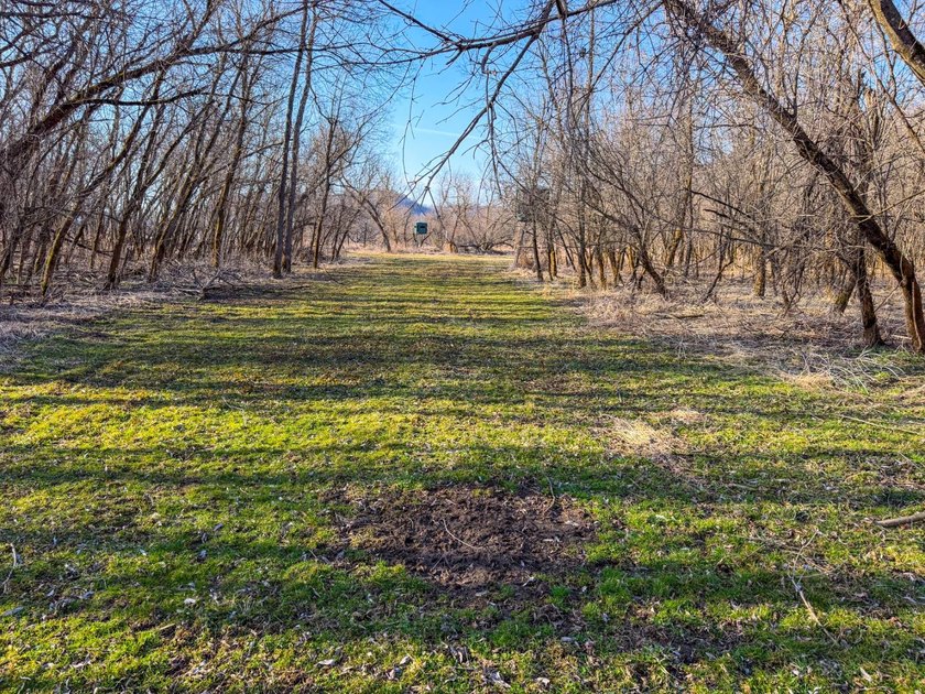 Introducing the West Fork Kickapoo River Farm, an exceptional 90 - photo 31