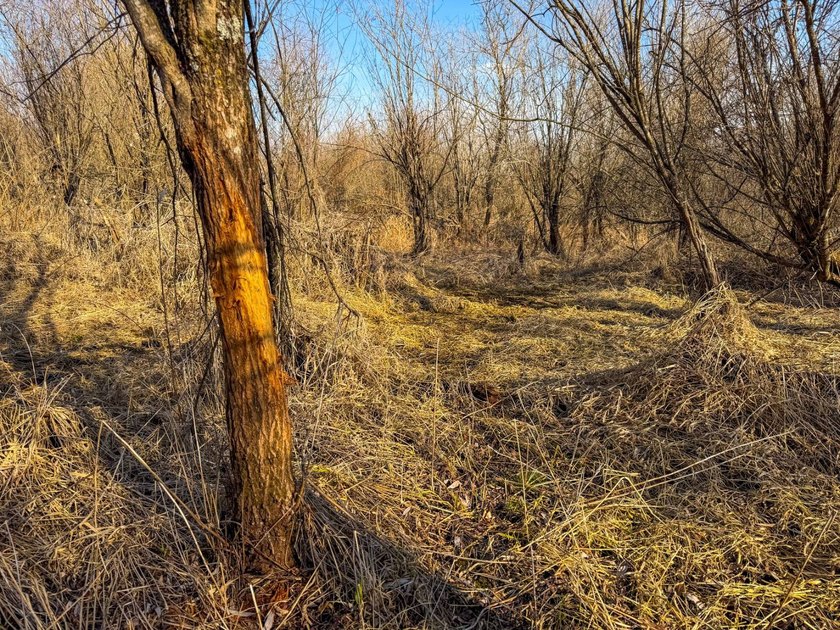 Introducing the West Fork Kickapoo River Farm, an exceptional 90 - photo 35