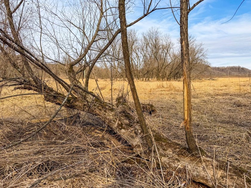 Introducing the West Fork Kickapoo River Farm, an exceptional 90 - photo 36