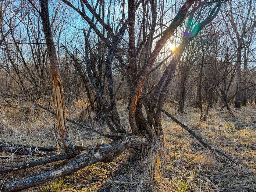 Introducing the West Fork Kickapoo River Farm, an exceptional 90 - photo 38