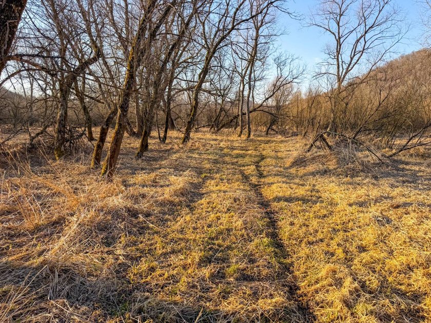 Introducing the West Fork Kickapoo River Farm, an exceptional 90 - photo 39