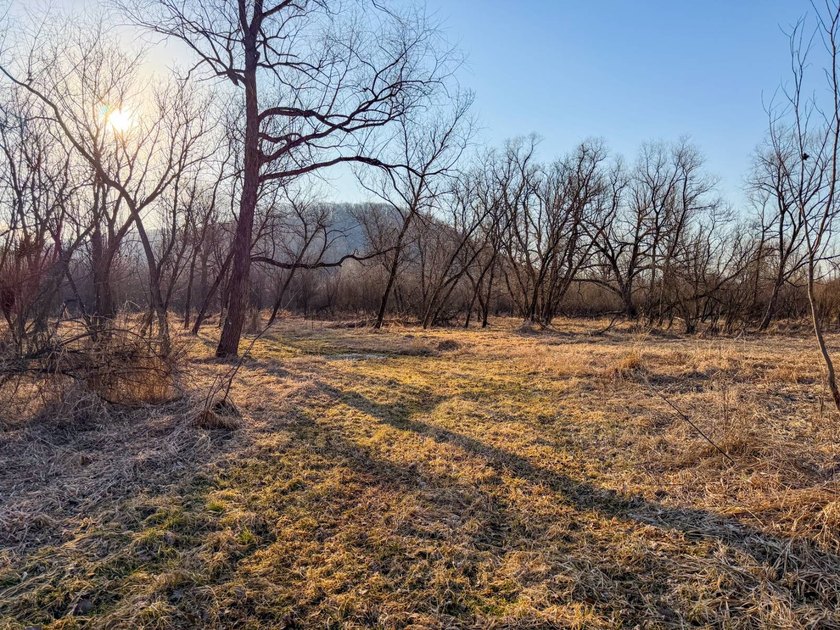 Introducing the West Fork Kickapoo River Farm, an exceptional 90 - photo 40