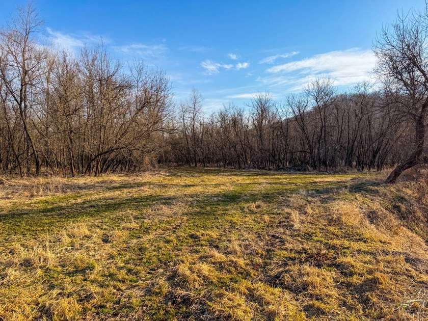 Introducing the West Fork Kickapoo River Farm, an exceptional 90 - photo 41