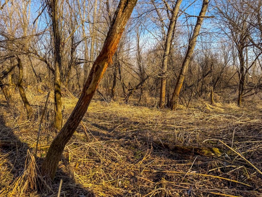 Introducing the West Fork Kickapoo River Farm, an exceptional 90 - photo 43