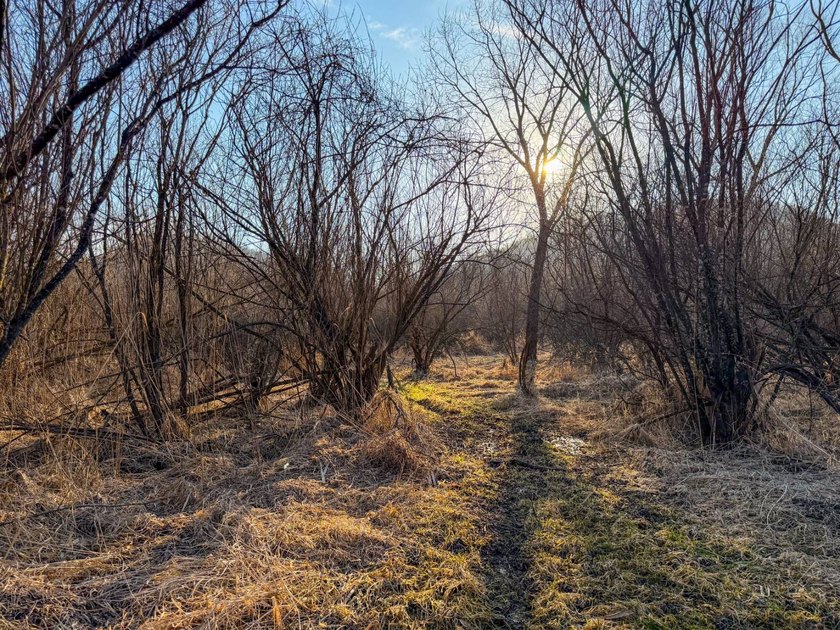 Introducing the West Fork Kickapoo River Farm, an exceptional 90 - photo 50