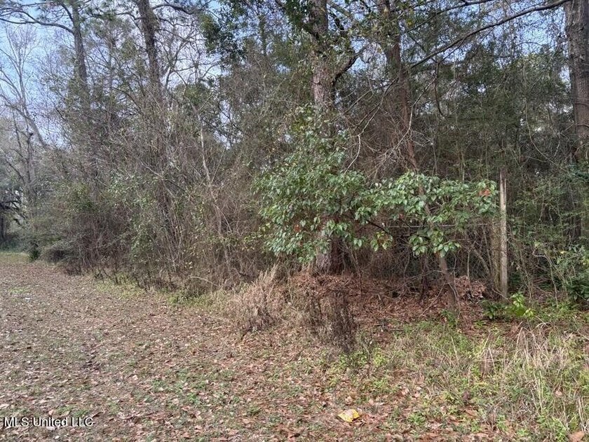 Whether you're looking to build a home,, create a private - photo 4