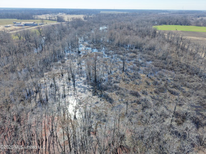 If you've been looking for a true waterfowl setup, this 37+/- - photo 3