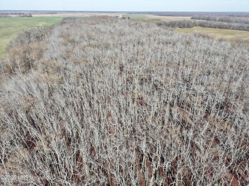 If you've been looking for a true waterfowl setup, this 37+/- - photo 4