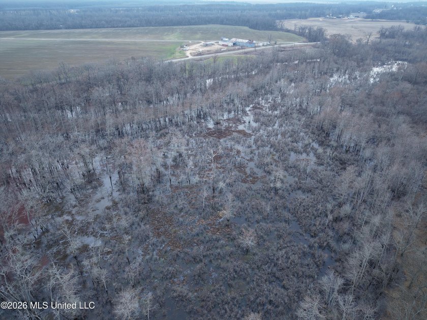 If you've been looking for a true waterfowl setup, this 37+/- - photo 7