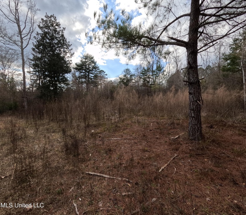 176 Acres near Mendenhall, MS The land is a strong mix for - photo 2